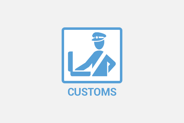 Customs icon